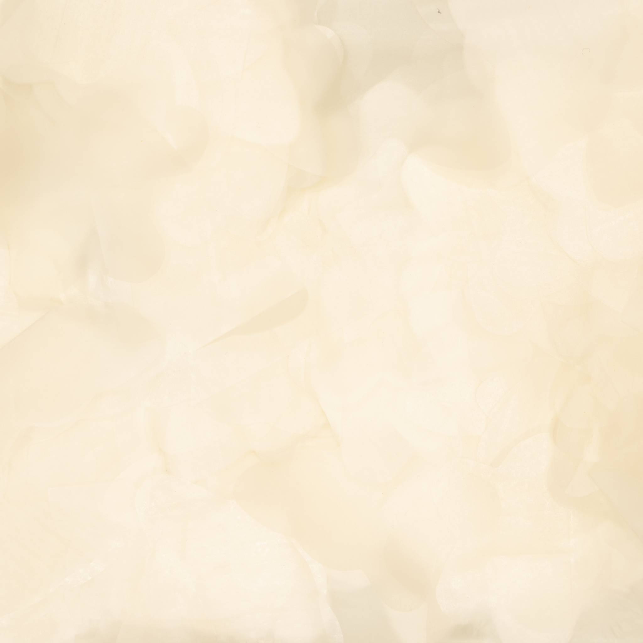 White Butterfly Shaped Biodegradable Confetti (Bag Only)